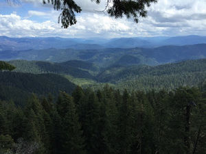 Meet your Posher, Josh